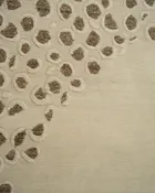 Leopard — thumbnail 3
