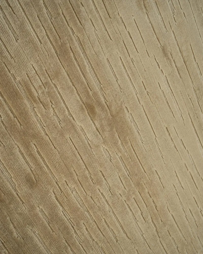 Dune — image 2