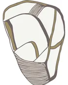 Contour Loop — thumbnail 1