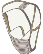 Contour Loop — thumbnail 1
