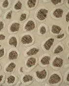 Leopard — thumbnail 4