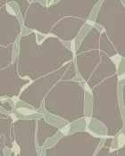 Quiet Orchard — thumbnail 1