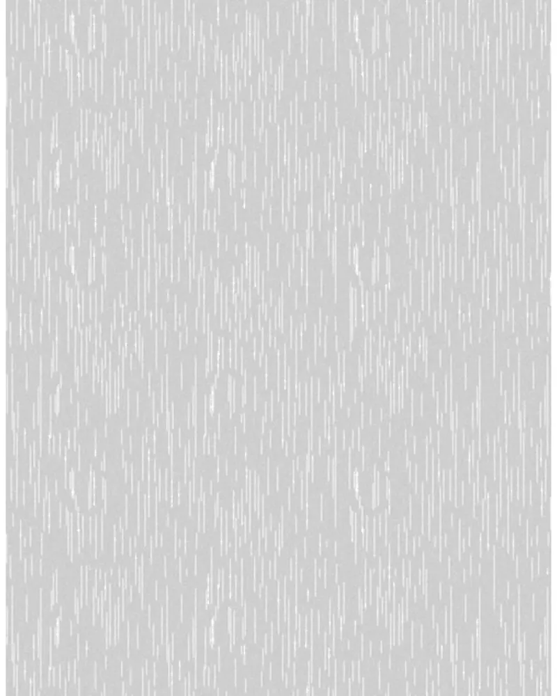 Rain Veil — image 1