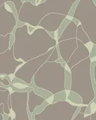 Quiet Orchard — thumbnail 1