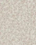 Terra Crackles — thumbnail 1