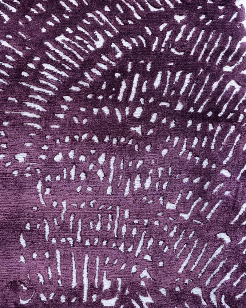 Terranova — image 4