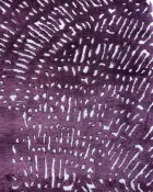 Terranova — thumbnail 4